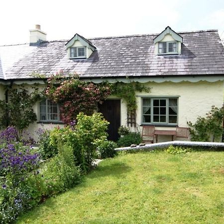 Parc y Brenin Villa Dryslwyn Dış mekan fotoğraf