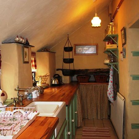 Parc y Brenin Villa Dryslwyn Dış mekan fotoğraf