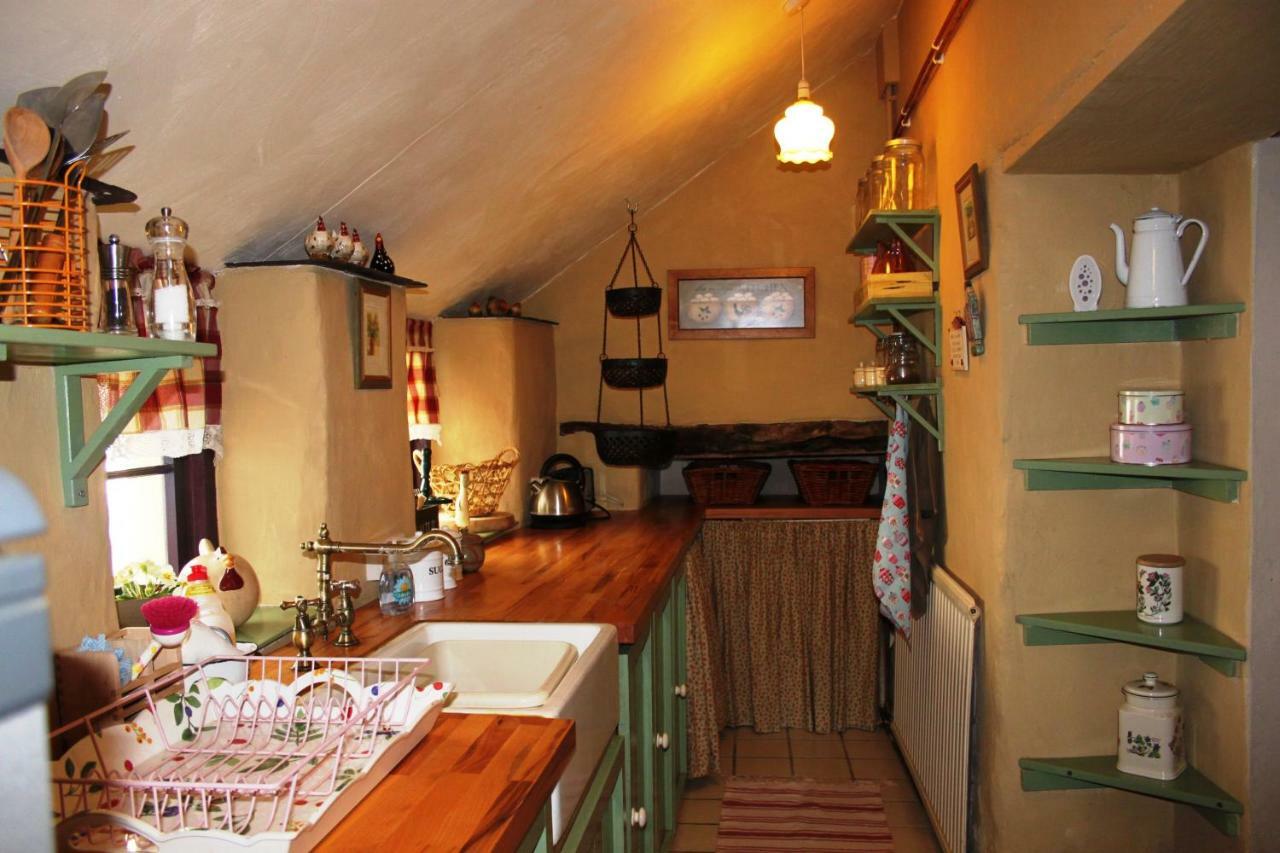 Parc y Brenin Villa Dryslwyn Dış mekan fotoğraf